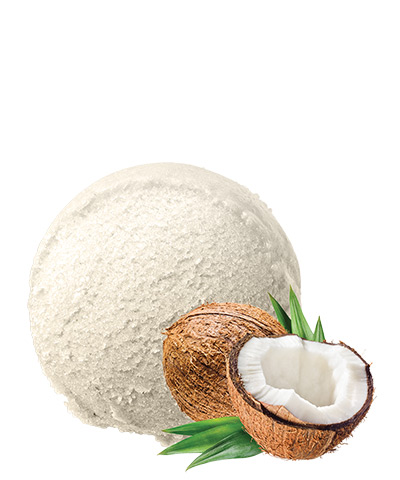 POLÁRKA kokosový sorbet 2500ml