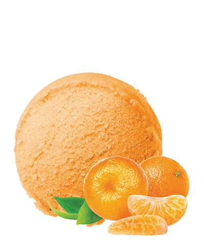 POLÁRKA mandarinkový sorbet 5000ml